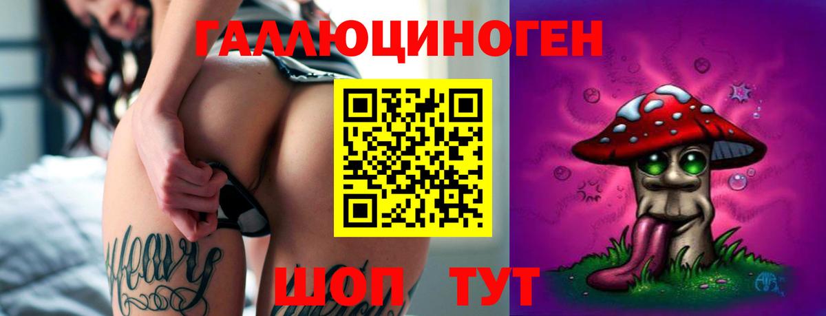 Псилоцибиновые грибы Psilocybine cubensis Пугачёв